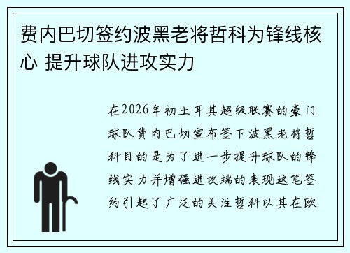 费内巴切签约波黑老将哲科为锋线核心 提升球队进攻实力