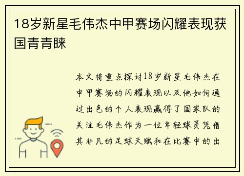 18岁新星毛伟杰中甲赛场闪耀表现获国青青睐