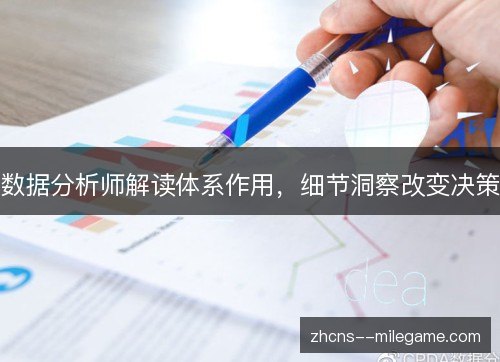 数据分析师解读体系作用，细节洞察改变决策